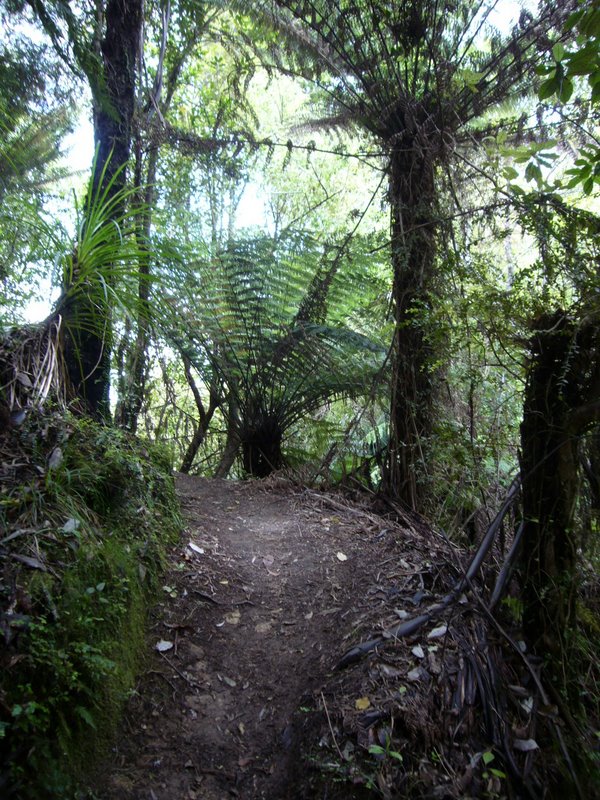Travel - New Zealand - Abel Tasman National Park